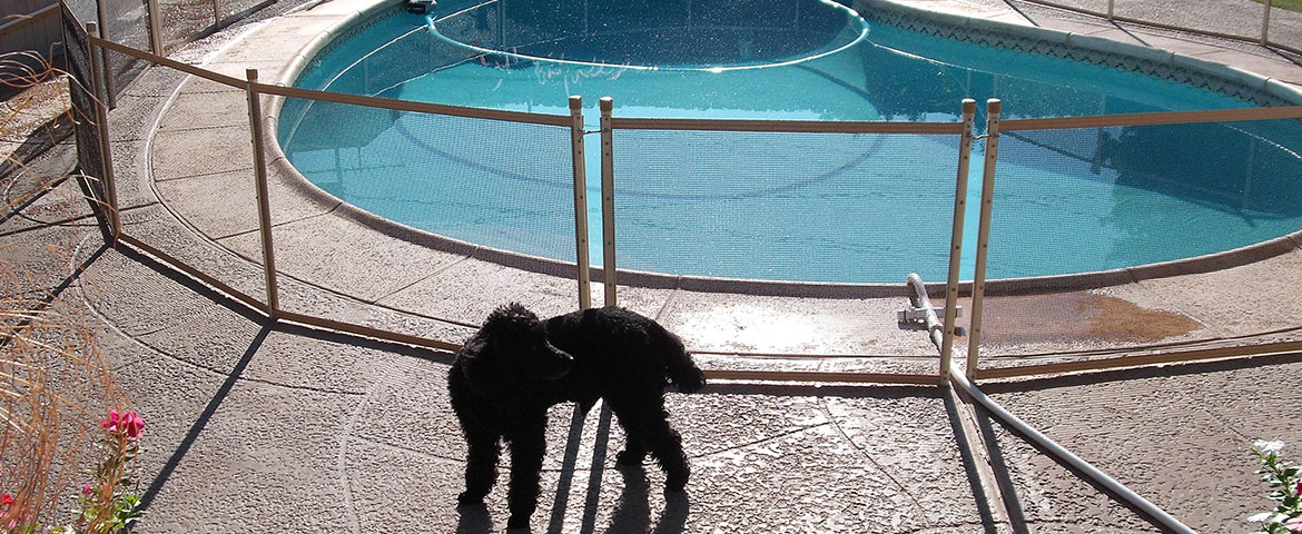 Pool Guard portfolio